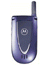 Best available price of Motorola V66i in Srilanka